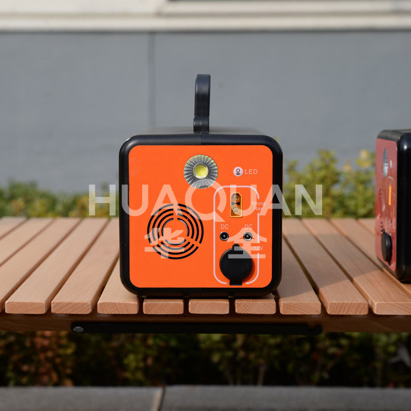 Portable electricity generator