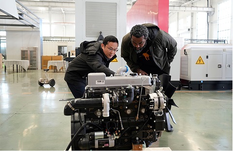 Home generator diesel